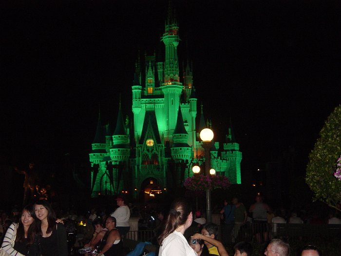 Disney 2010 245